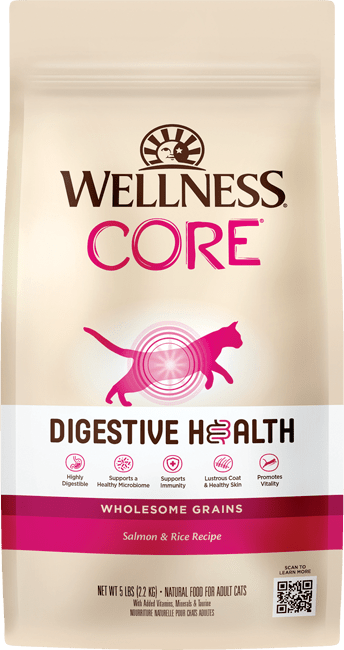 Wellness Core Digestive Health With Wholesome Grains Adult: Salmon & Rice
